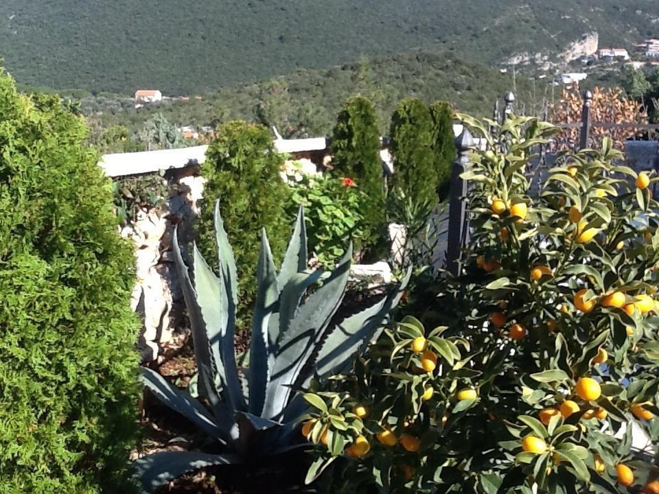 Villa Mirista Luštica Zimmer foto